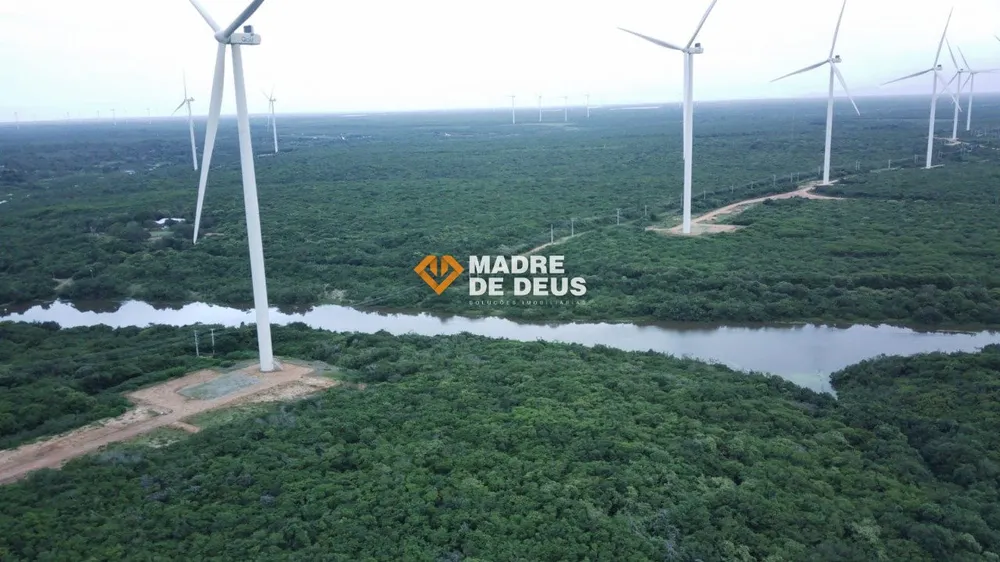 Terreno, 160 hectares - Foto 6