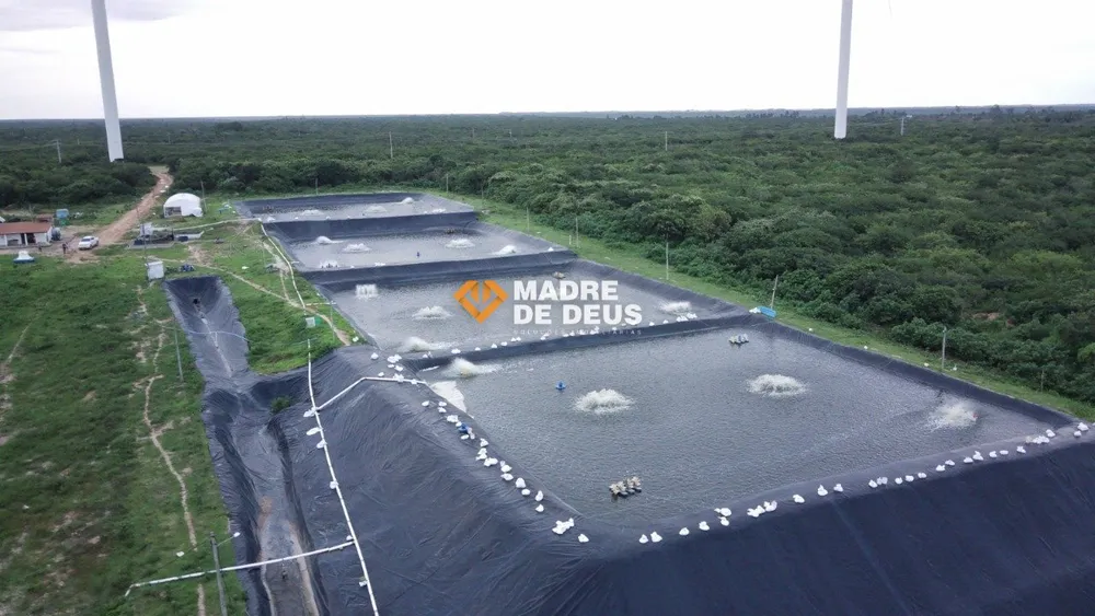 Terreno, 160 hectares - Foto 2