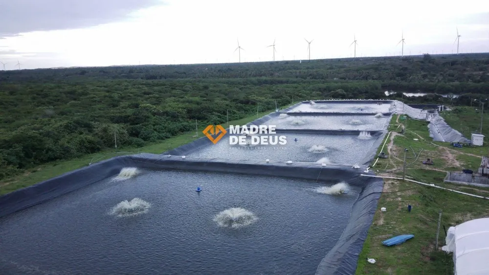 Terreno, 160 hectares - Foto 4