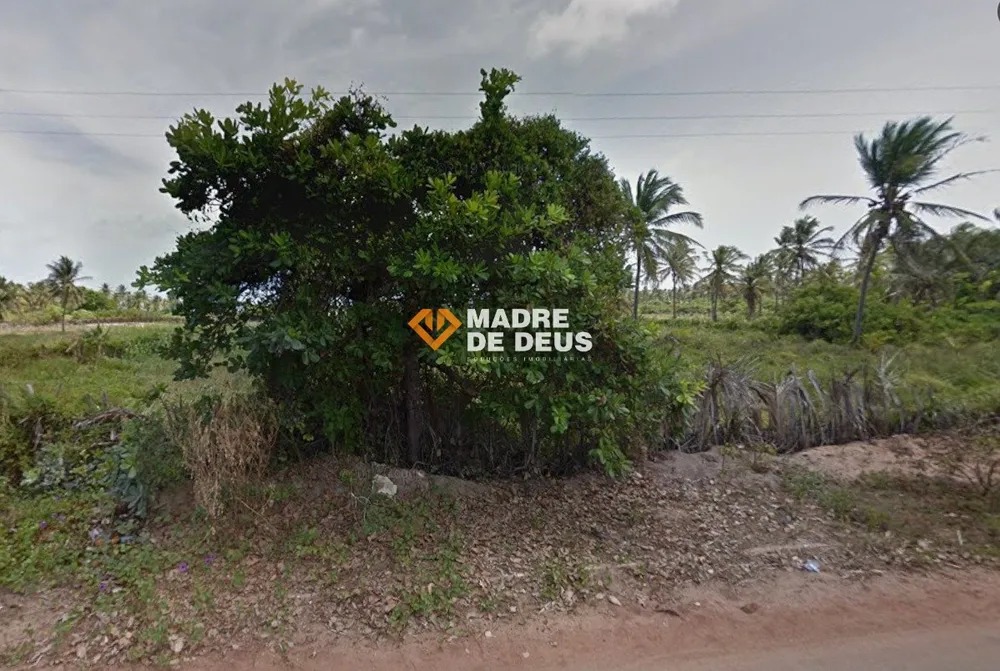 Terreno, 5000 m² - Foto 5