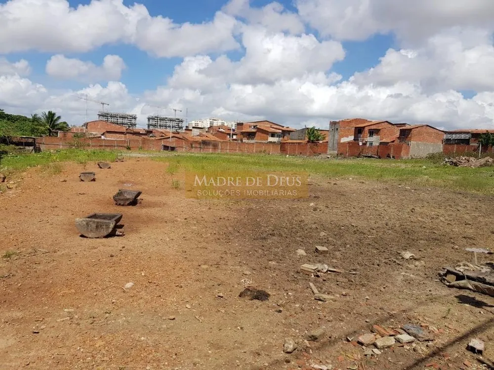 Terreno, 4392 m² - Foto 5