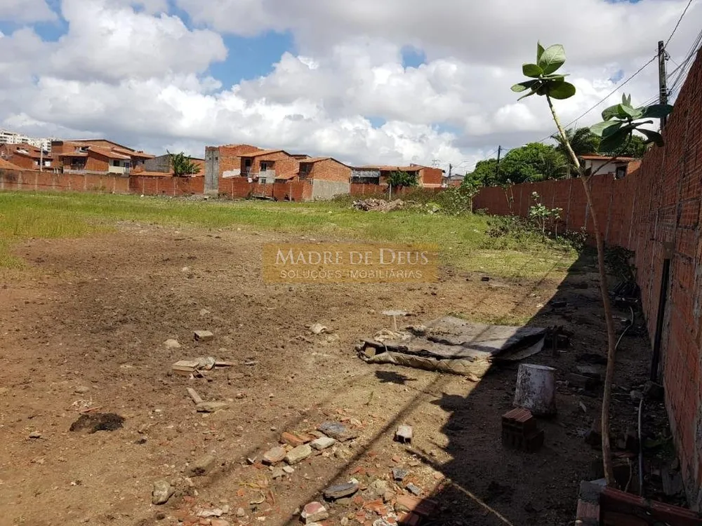Terreno, 4392 m² - Foto 6