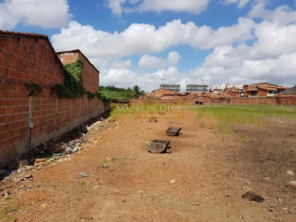 Terreno, 4392 m² - Foto 4