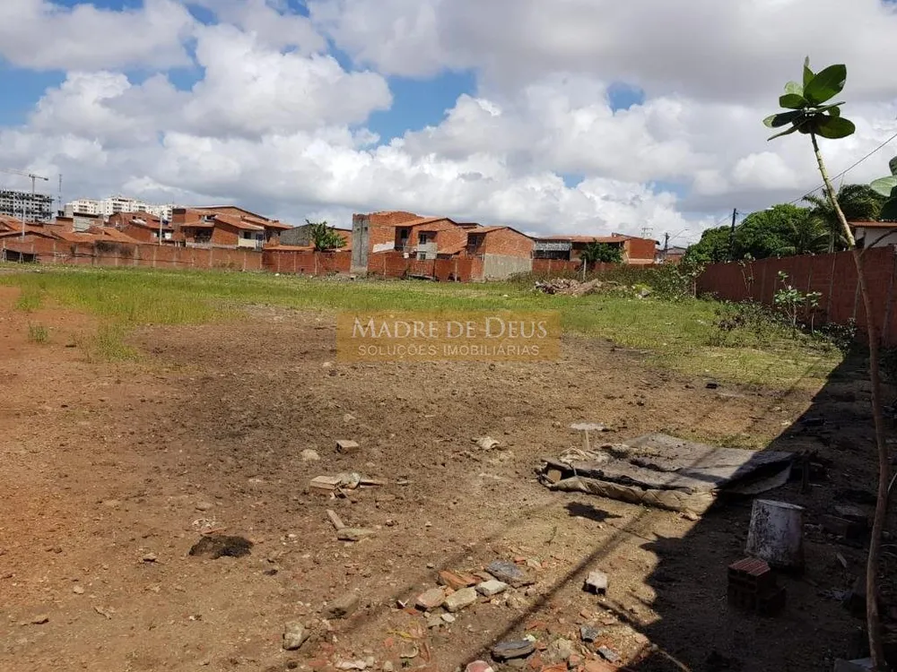 Terreno, 4392 m² - Foto 3