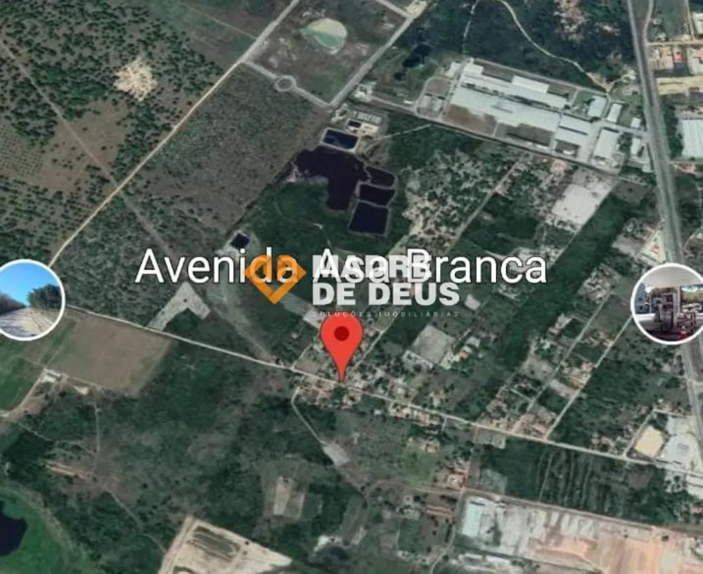 Terreno, 4 hectares - Foto 2