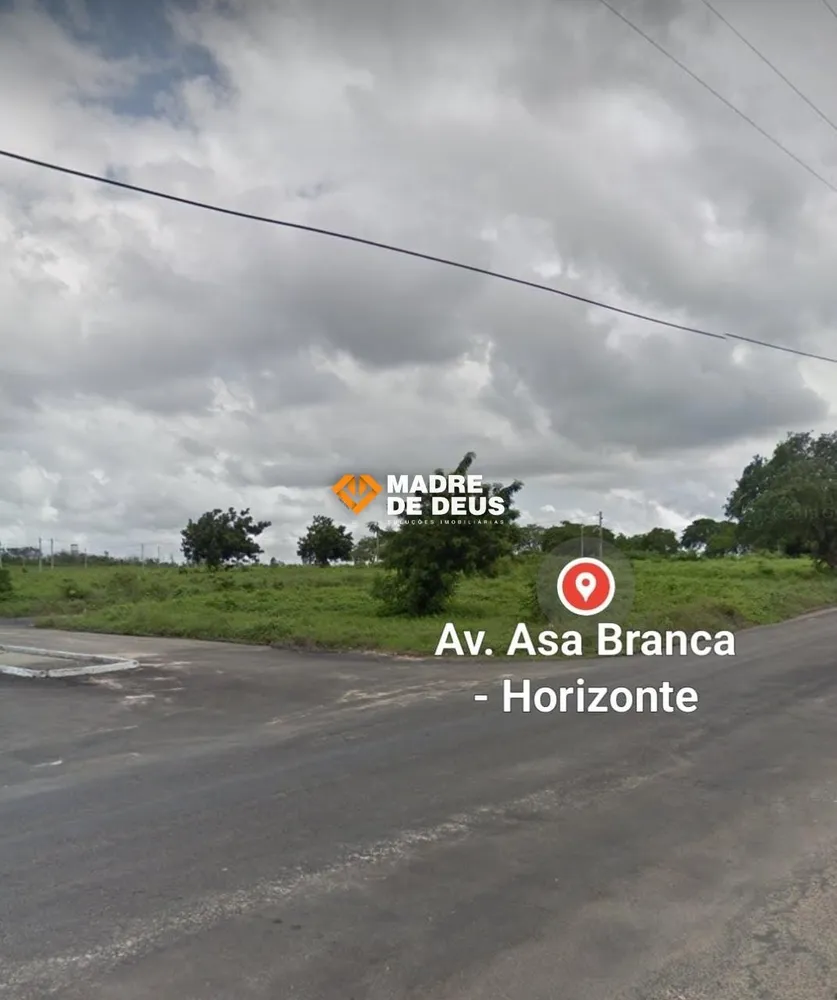 Terreno, 4 hectares - Foto 10