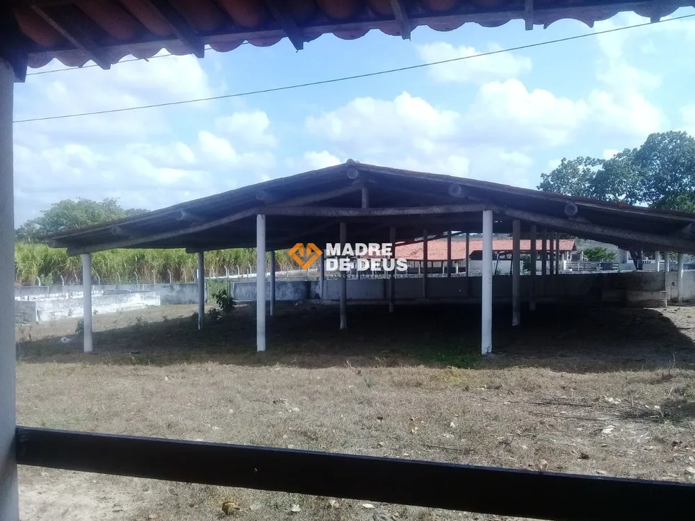 Terreno, 23 hectares - Foto 6