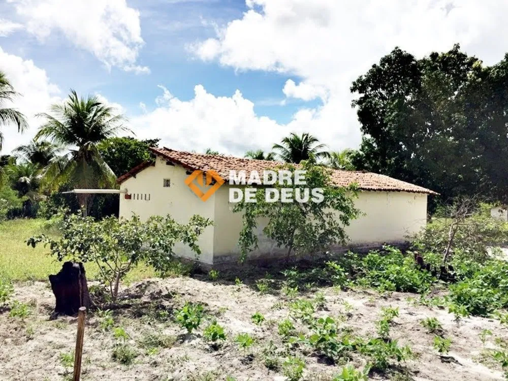 Terreno, 3 hectares - Foto 7