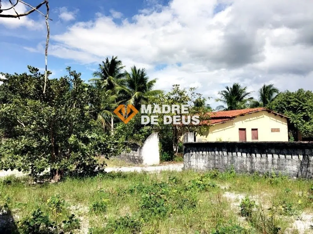 Terreno, 3 hectares - Foto 1