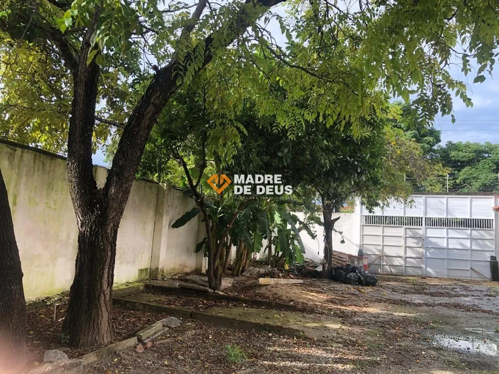 Casa, 2 quartos, 300 m² - Foto 4