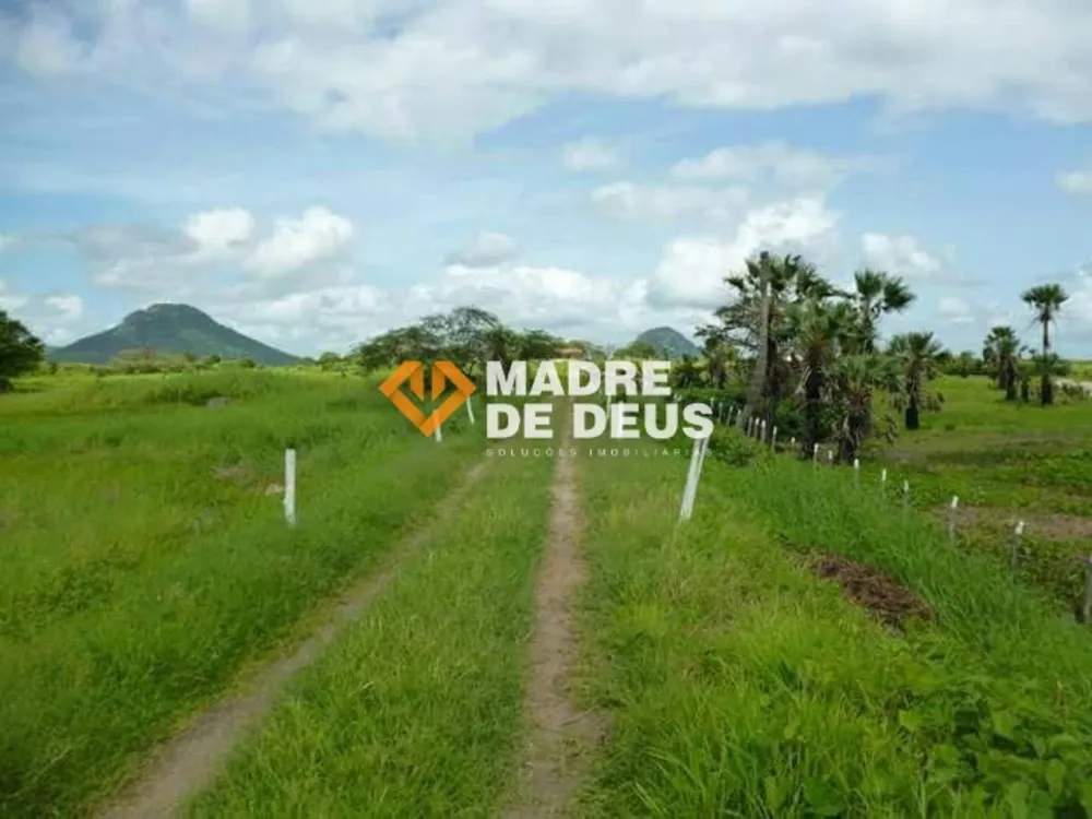 Terreno, 681 hectares - Foto 6