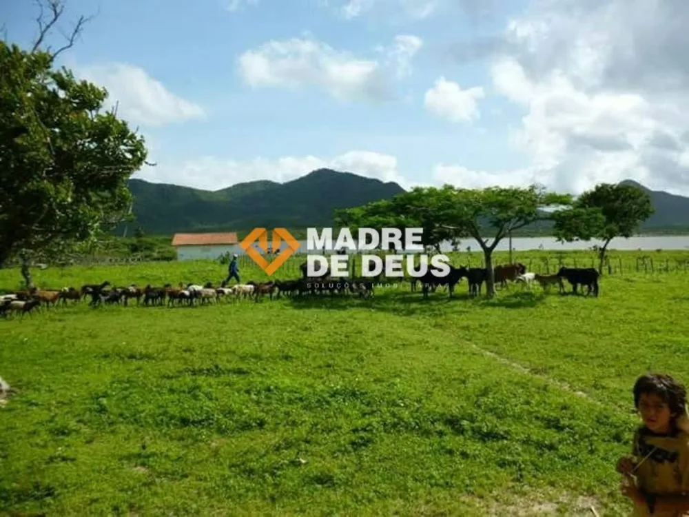 Terreno, 681 hectares - Foto 6