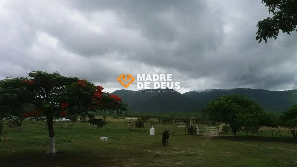 Terreno, 681 hectares - Foto 4
