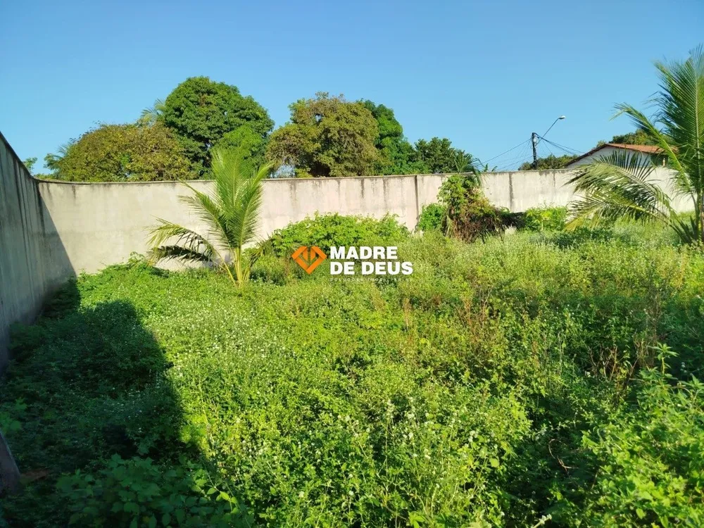 Terreno, 810 m² - Foto 8