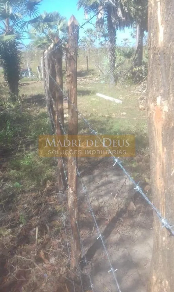 Terreno, 80 hectares - Foto 11
