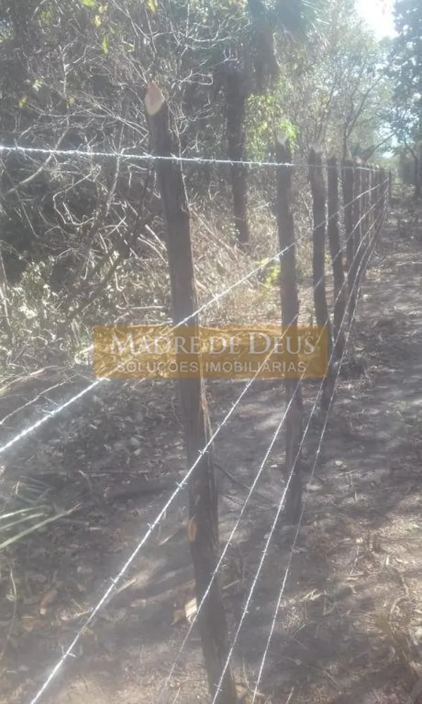 Terreno, 80 hectares - Foto 6