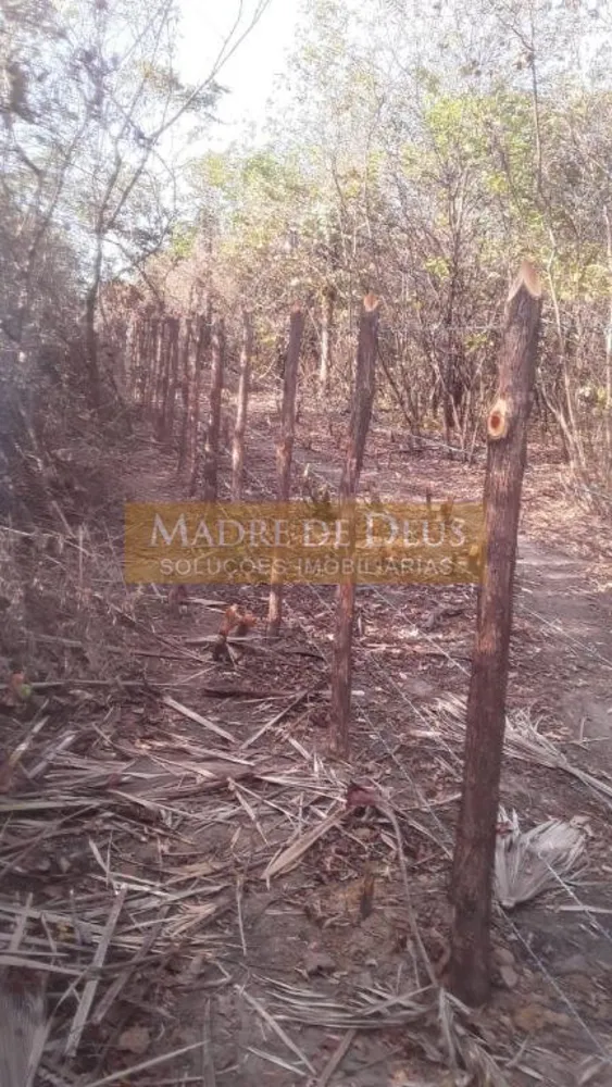 Terreno, 80 hectares - Foto 4