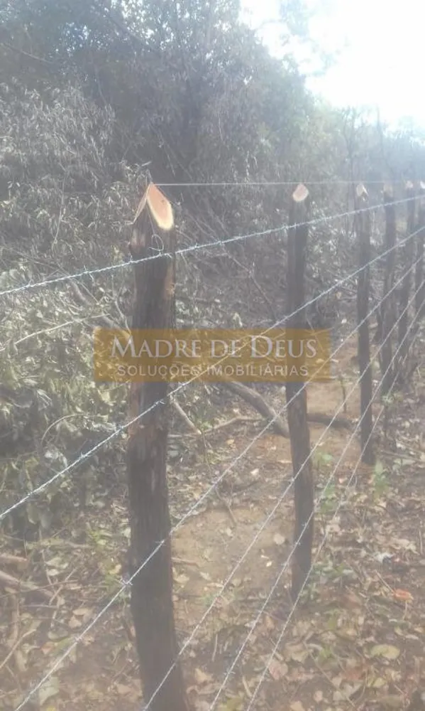Terreno, 80 hectares - Foto 10