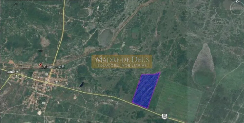 Terreno, 80 hectares - Foto 3