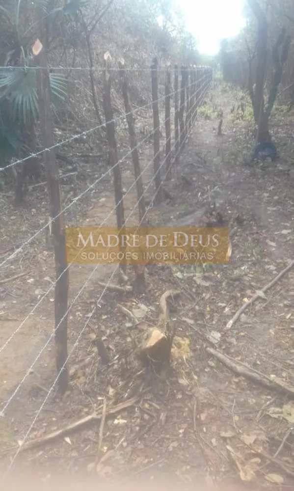 Terreno, 80 hectares - Foto 8
