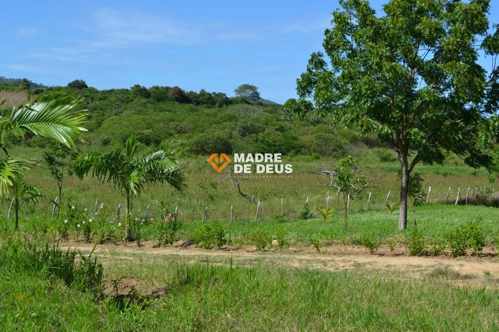 Terreno, 52 hectares - Foto 6