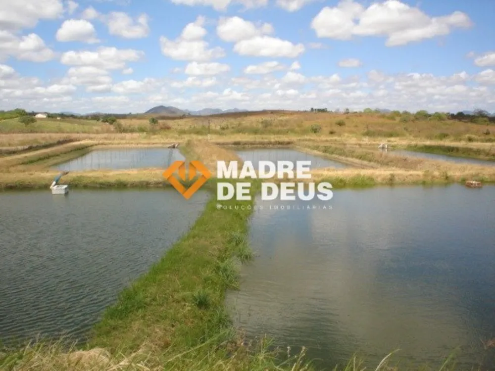 Terreno, 52 hectares - Foto 8