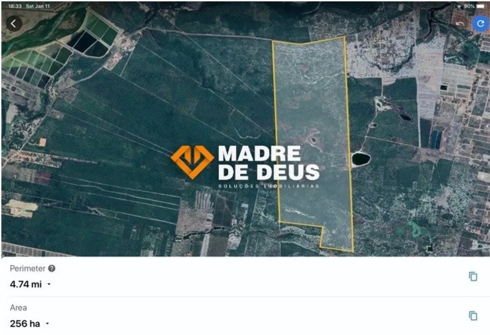 Terreno, 256 hectares - Foto 2