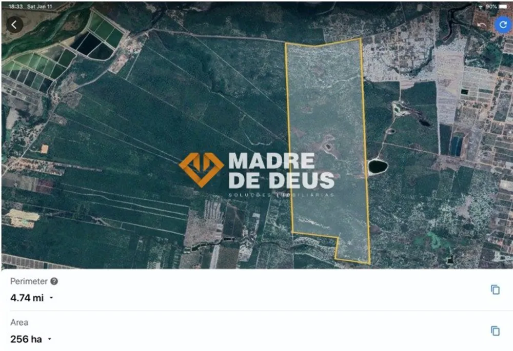Terreno, 256 hectares - Foto 1