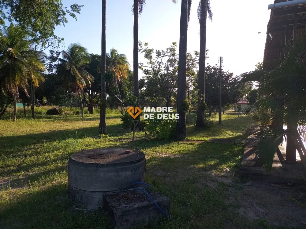 Terreno, 4 hectares - Foto 2