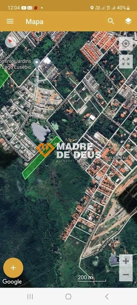 Terreno, 4 hectares - Foto 1