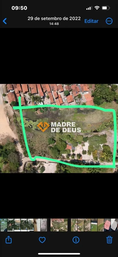 Terreno, 2 hectares - Foto 3