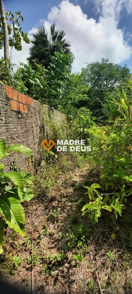 Terreno, 7628 m² - Foto 2