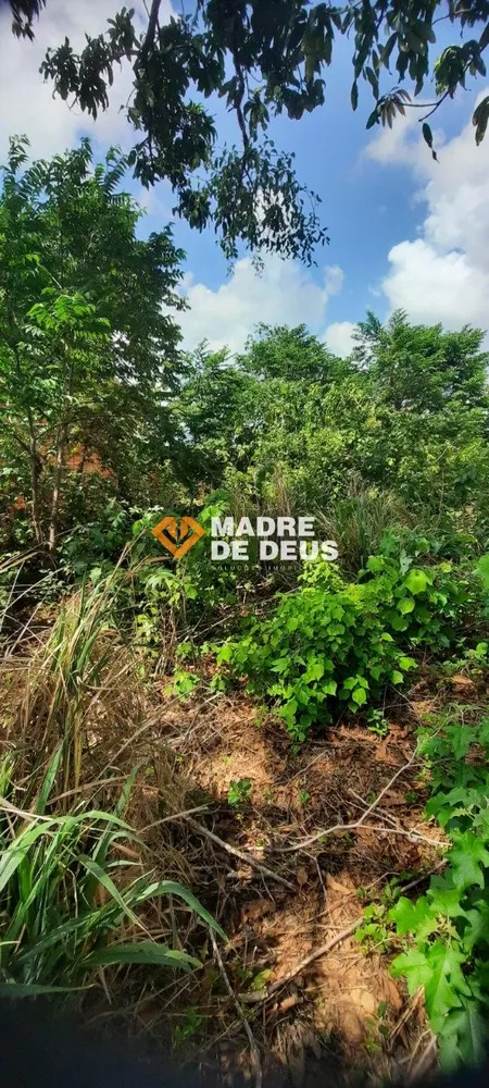 Terreno, 7628 m² - Foto 7