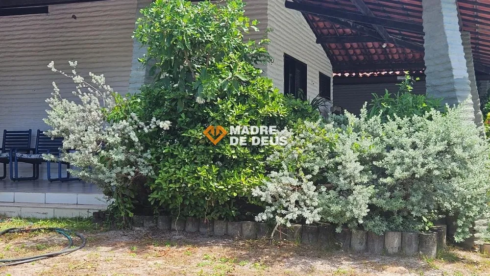 Casa, 3 quartos, 253 m² - Foto 6