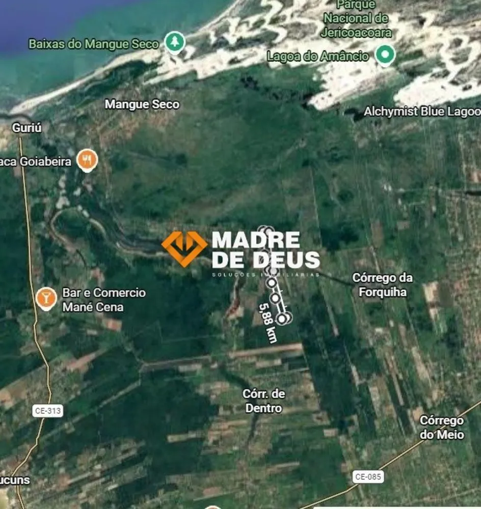 Terreno, 4 hectares - Foto 8