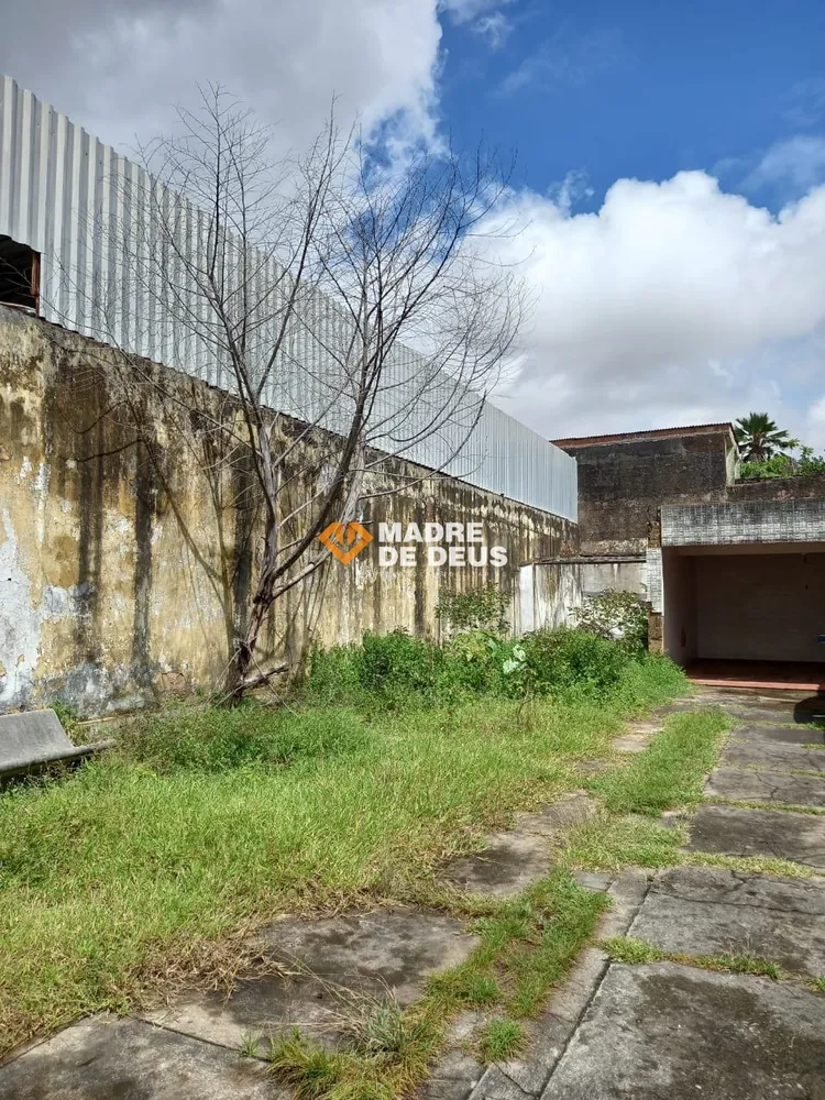 Casa, 4 quartos, 320 m² - Foto 12
