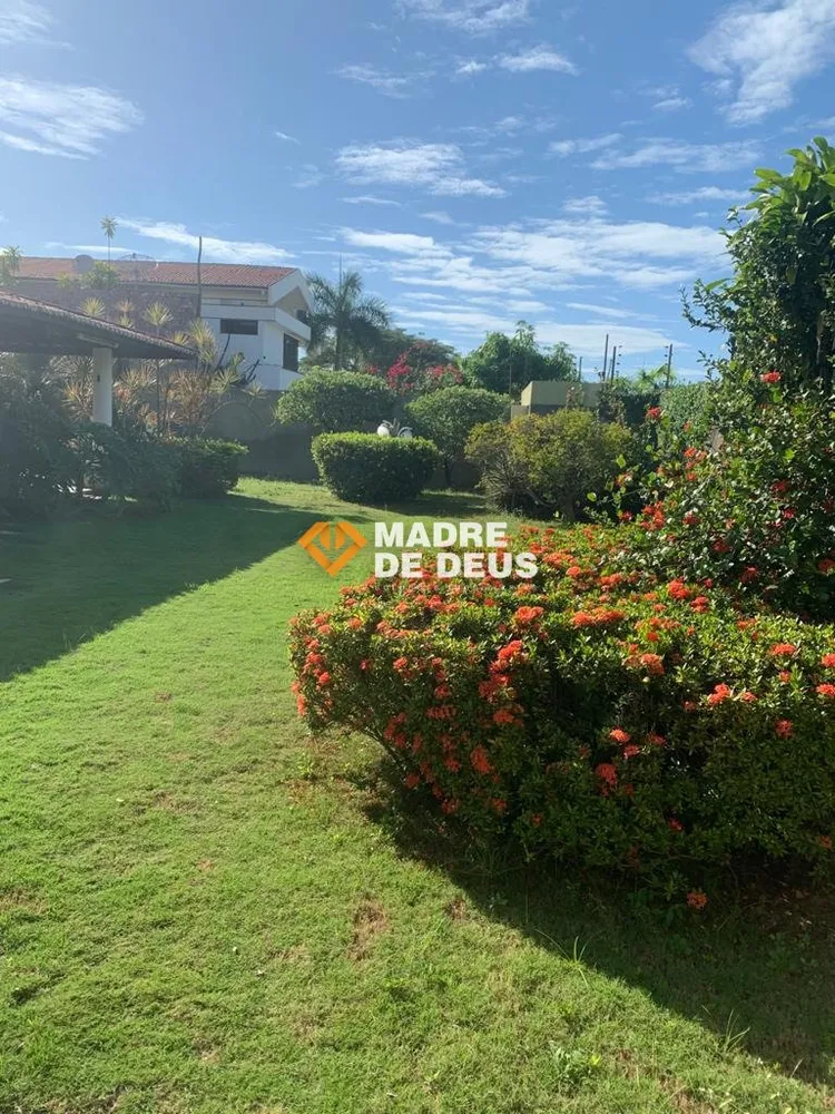 Casa, 4 quartos, 394 m² - Foto 6
