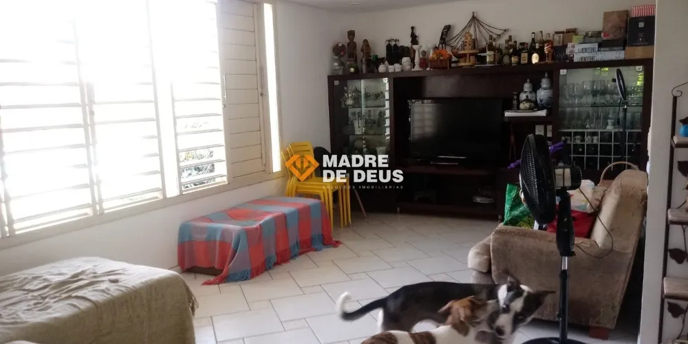 Casa, 6 quartos, 326 m² - Foto 6