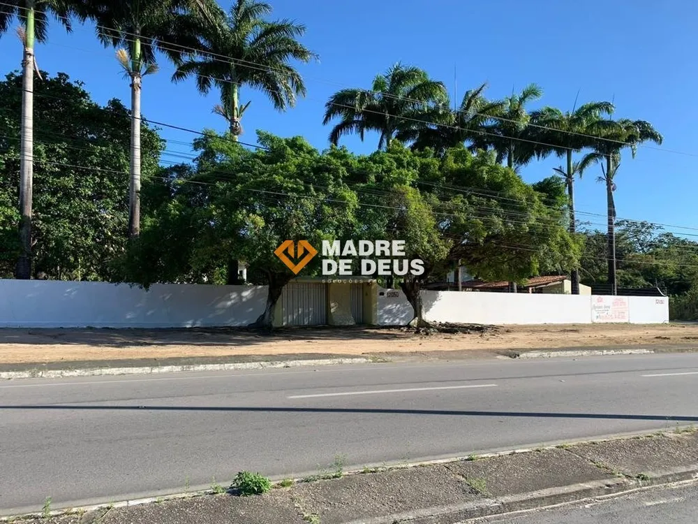 Chácara, 5 quartos, 5000 m² - Foto 2