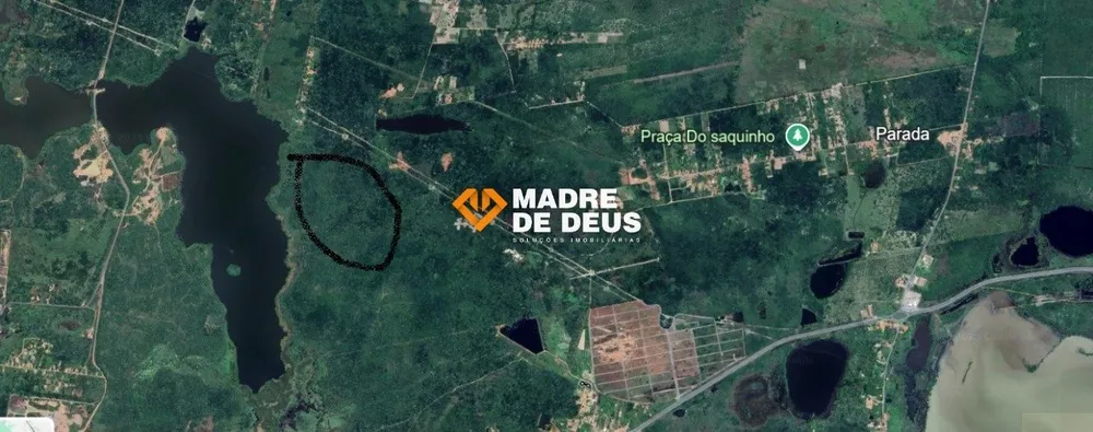 Terreno, 100 hectares - Foto 6