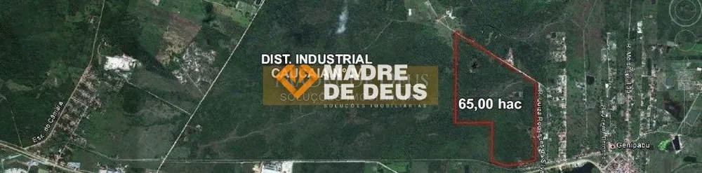 Terreno, 65 hectares - Foto 4