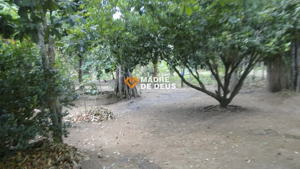 Sítio, 3 quartos, 22 hectares - Foto 7
