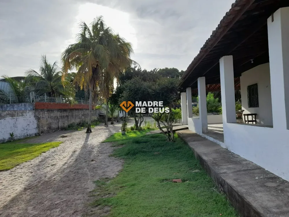 Sítio, 3 quartos, 2800 m² - Foto 3