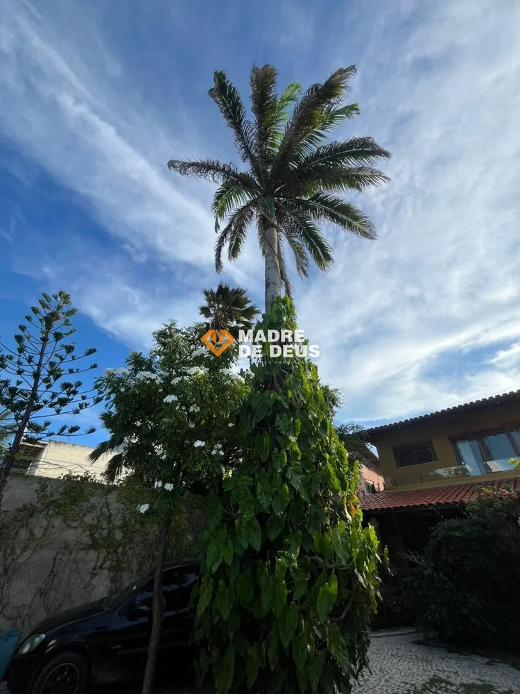Casa, 5 quartos, 498 m² - Foto 1