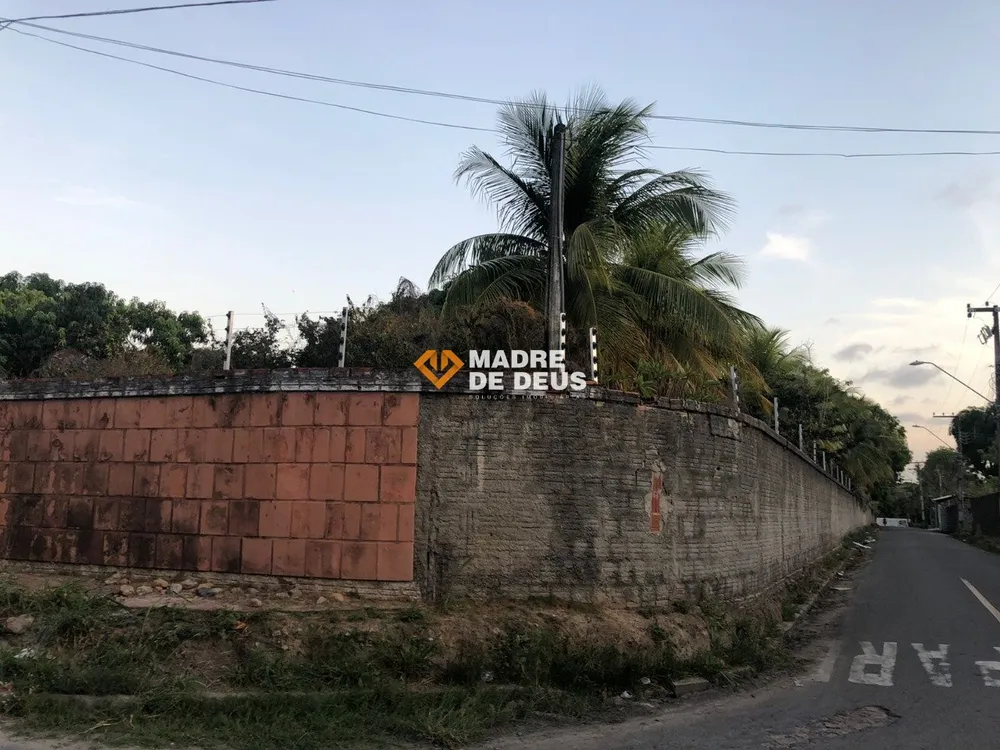 Sítio, 5 quartos, 5000 m² - Foto 6