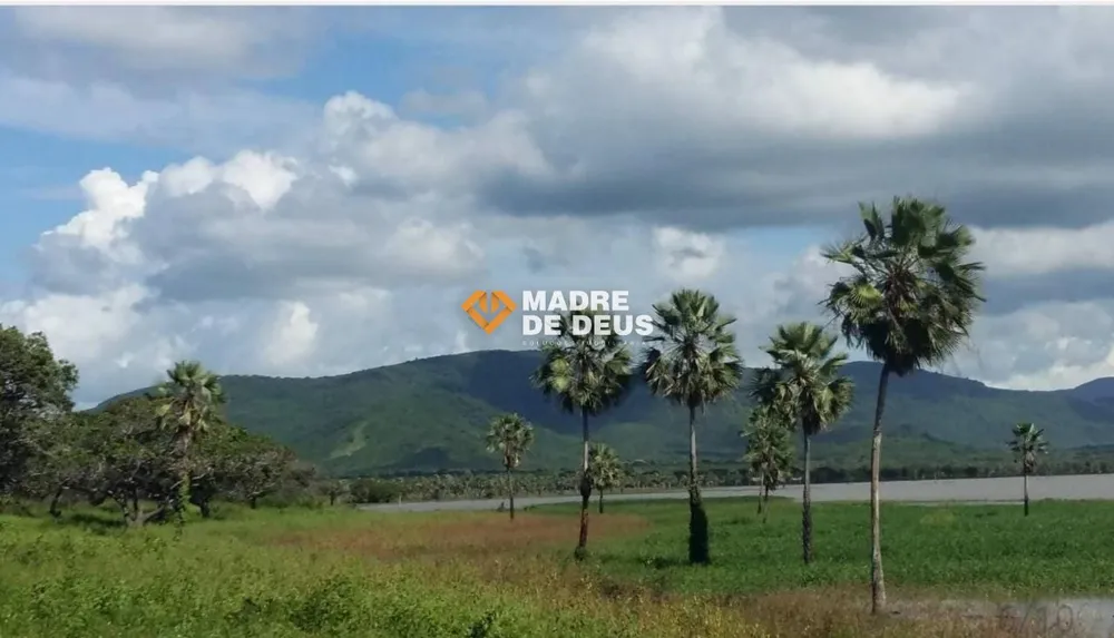 Terreno, 8 hectares - Foto 8