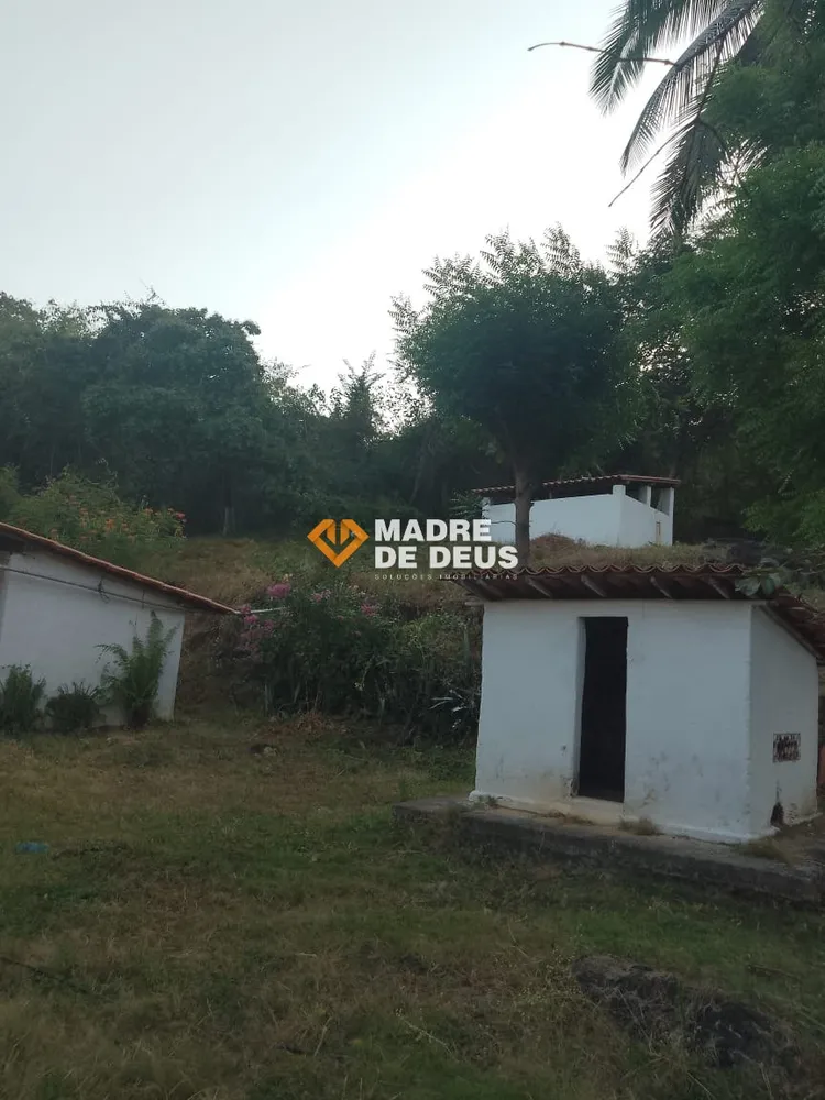 Sítio, 14 hectares - Foto 4
