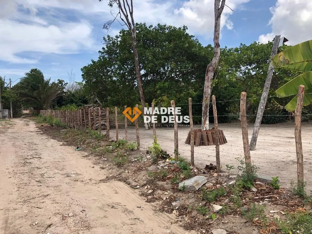 Terreno, 6 hectares - Foto 1