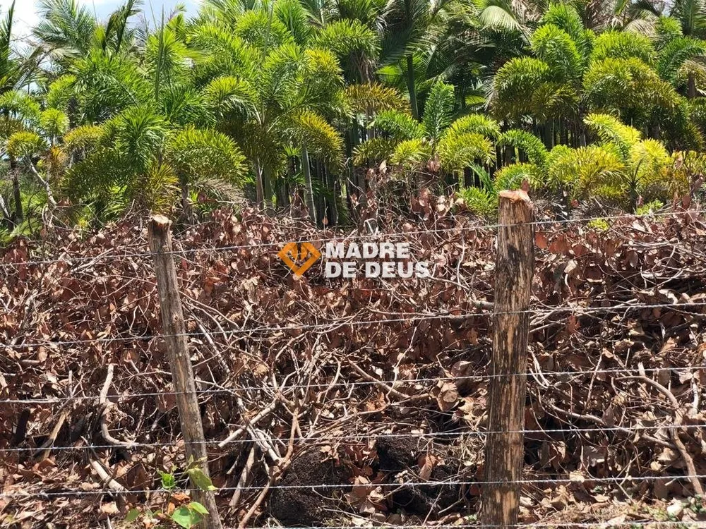 Terreno, 6 hectares - Foto 8