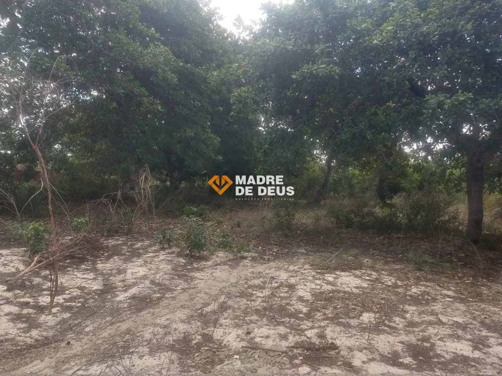 Terreno, 3 hectares - Foto 9